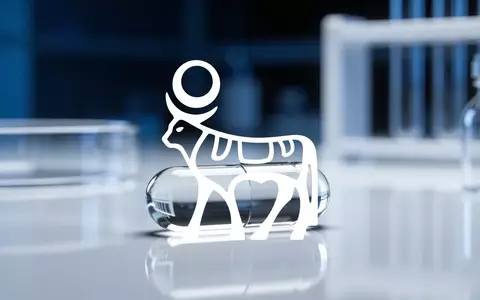 Eine einzelne pharmazeutische Kapsel in einem modernen Labor, die medizinische Innovation und Fortschritt symbolisiert. - Foto: über boerse-global.de