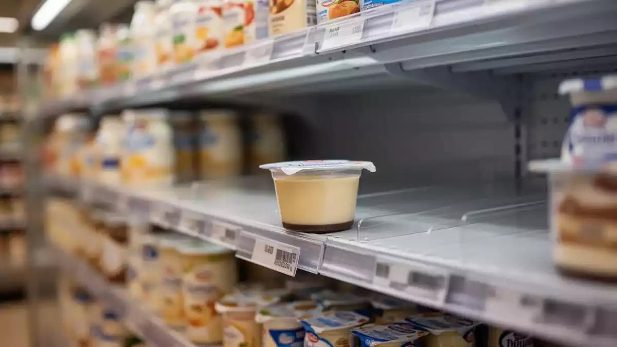 Rückruf: Milbona Protein Pudding bei Lidl wegen Bakterienbefall