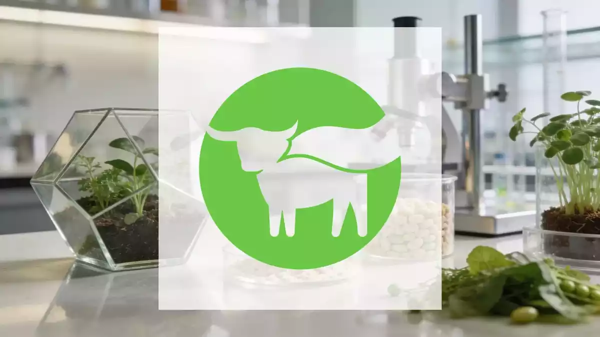 Beyond Meat: Gründer Brown übernimmt Aufsichtsratsposten, neuer COO startet