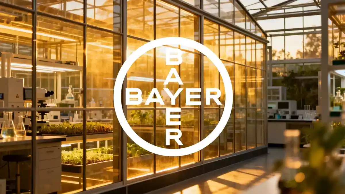 Bayer's Turnaround: Apollo Cash, Glyphosate Deal, and Hybrid Wheat Bet