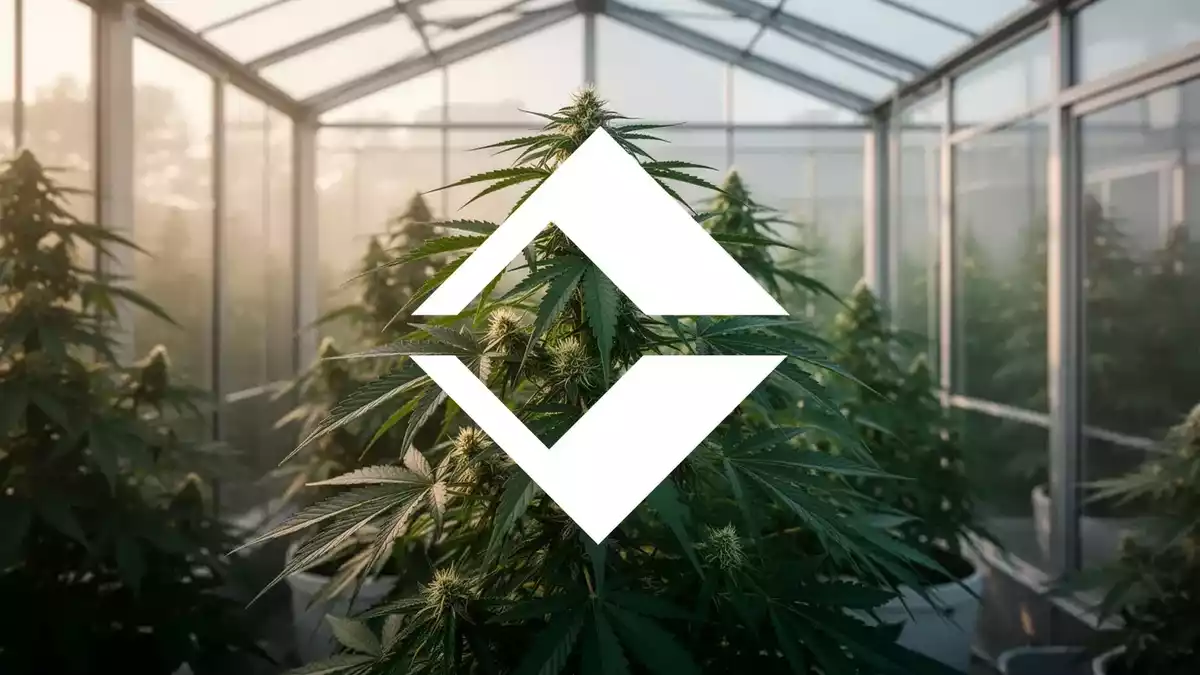 Trulieve Rings NYSE Bell as Cannabis Sector Awaits DEA Schedule III Decision