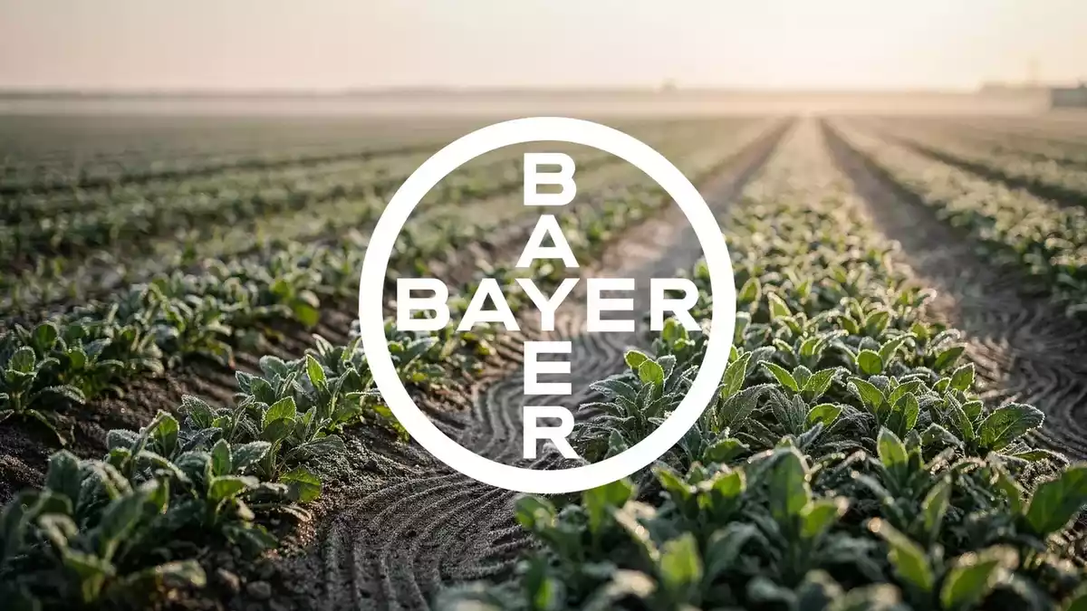 Bayer Stock Rises on Legal Restructuring and Hybrid Wheat Deal