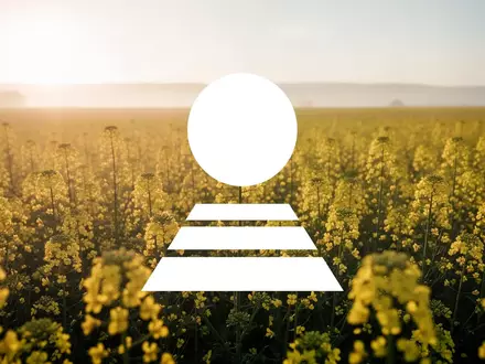 Weites Rapsfeld in der Morgensonne als Symbol für landwirtschaftliches Wachstum und Markterfolg. - Foto: über boerse-global.de