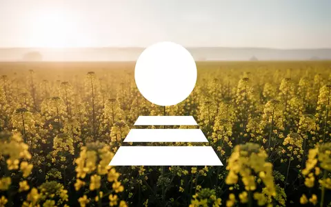 Weites Rapsfeld in der Morgensonne als Symbol für landwirtschaftliches Wachstum und Markterfolg. - Foto: über boerse-global.de