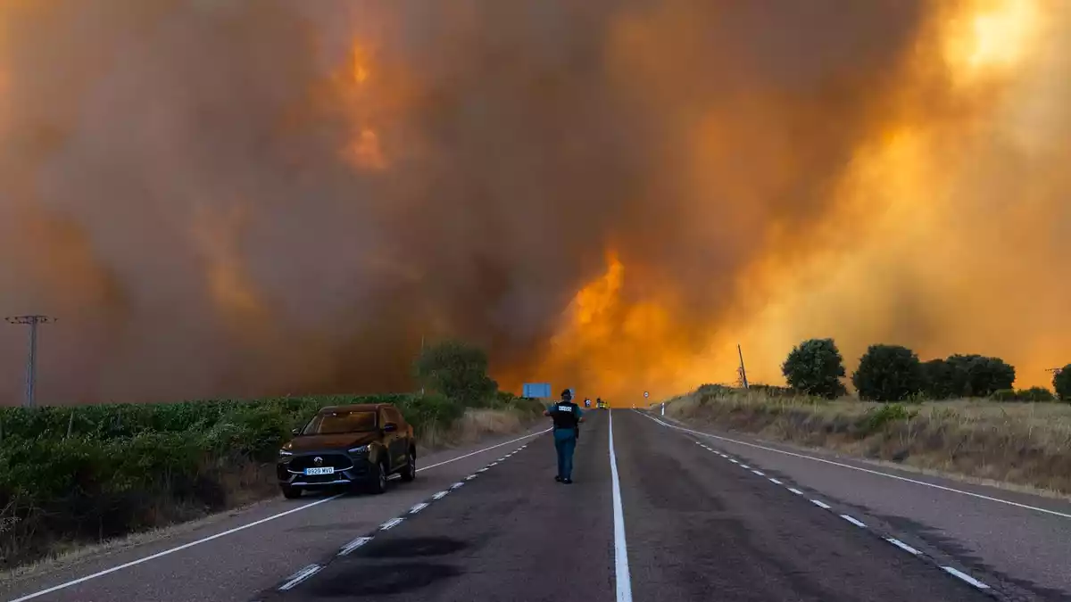 Dichter Rauch während eines Waldbrandes am Rande einer Landstraße in Spanien (Archivbild) - Bild: Paloma V. Escarpa/EUROPA PRESS/dpa