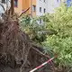 Am Tag danach ist in Fürstenwalde Aufräumen angesagt. - Bild: Patrick Pleul/dpa