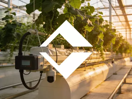 Modernes Gewächshaus mit üppigen Pflanzen in atmosphärischer Beleuchtung als Symbol für den Agrarsektor. - Foto: über boerse-global.de