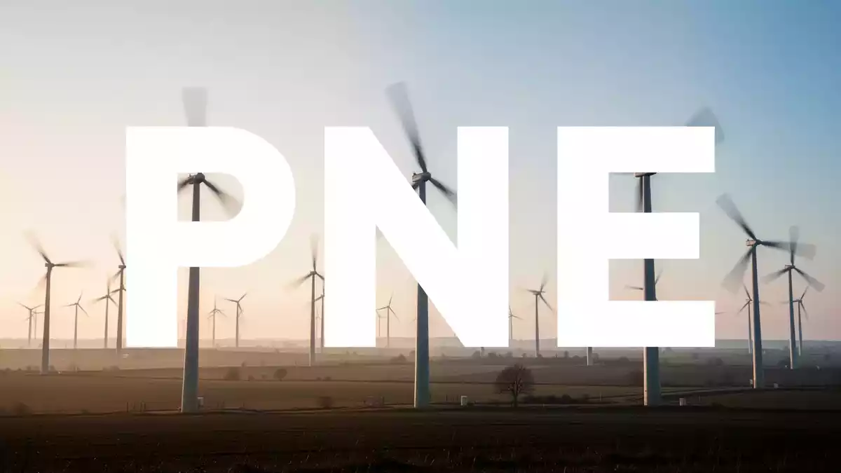 PNE-Aktie unter Druck: Schwache Gebote und Halbjahresverlust belasten den Windpark-Projektierer
