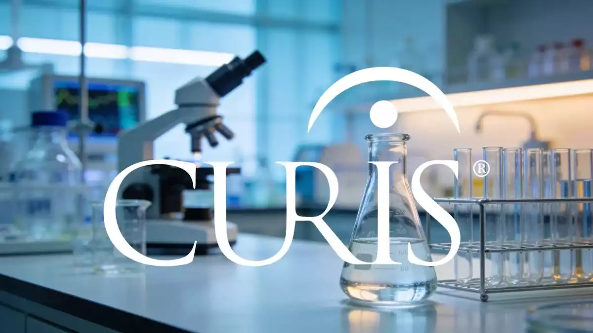 Curis-Aktie springt um 11%: Technische Erholung oder nachhaltige Wende?