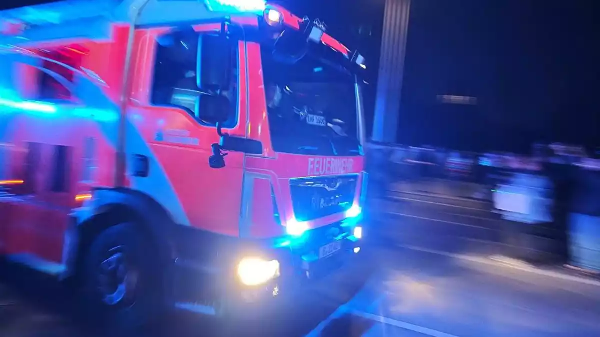 SPD will Feuerwehrleute mit Waldbrandmedaille auszeichnen