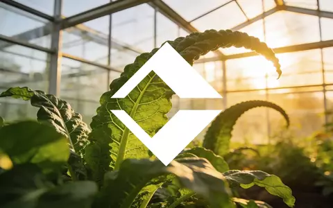 Moderne Gewächshausanlage im goldenen Licht als Symbol für landwirtschaftliches Wachstum und wirtschaftliche Stabilität. - Foto: über boerse-global.de