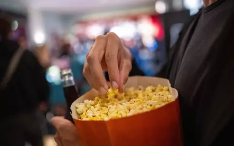 Horrorfilme ziehen viele Menschen ins Kino. (Archivbild) - Foto: Sebastian Gollnow/dpa