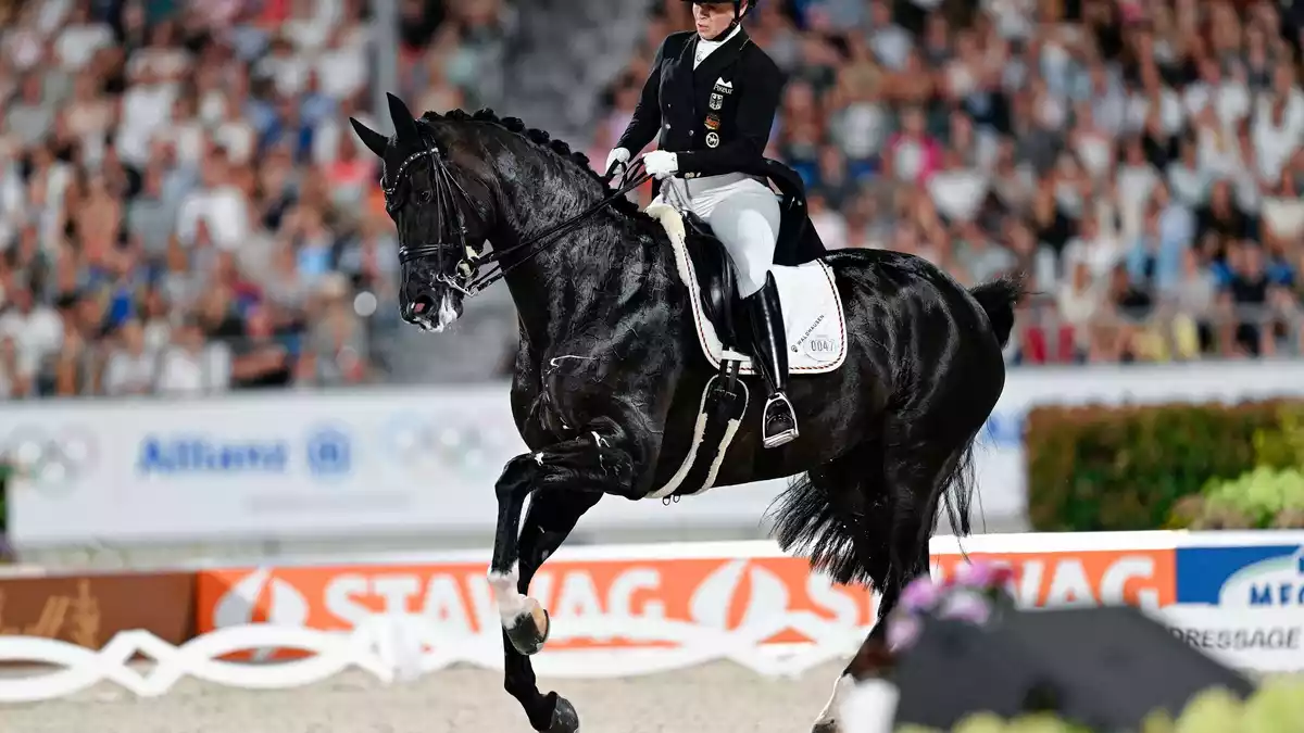 Isabell Werth verteidigt den Pferdesport gegen Kritiker. (Archivbild) - Bild: Uwe Anspach/dpa