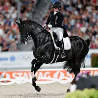 Isabell Werth verteidigt den Pferdesport gegen Kritiker. (Archivbild) - Foto: Uwe Anspach/dpa