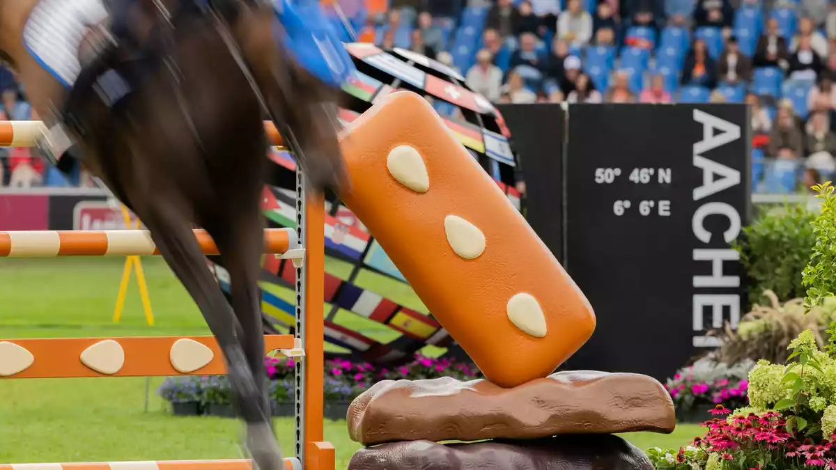 Der Reitsport steht unter Beobachtung. - Bild: Rolf Vennenbernd/dpa