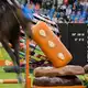 Der Reitsport steht unter Beobachtung. - Bild: Rolf Vennenbernd/dpa