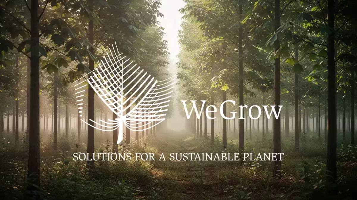 WeGrow-Aktie: Kursplus von 8% weckt Hoffnung auf Bodenbildung
