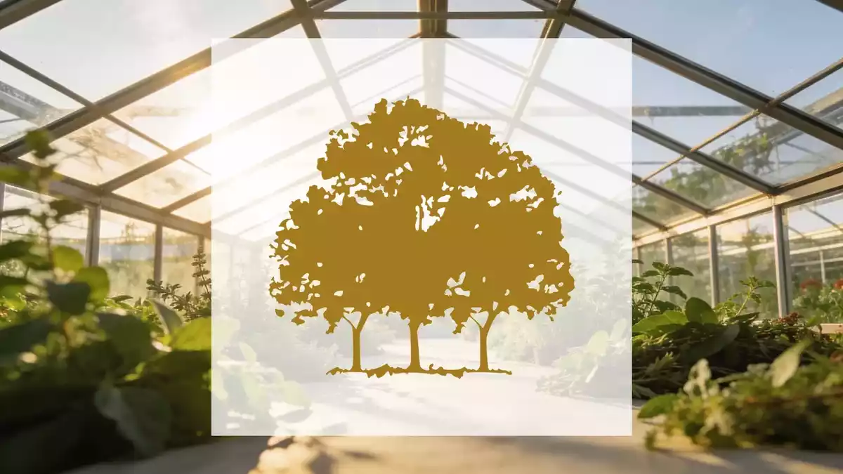 Canopy Growth: Operative Fortschritte und strukturelle Risiken im Fokus