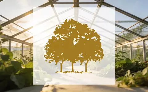 Modernes Gewächshaus mit üppigen Pflanzen in natürlichem Licht als Symbol für den europäischen Cannabismarkt. - Foto: über boerse-global.de