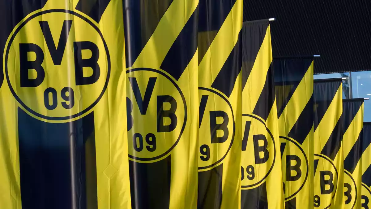 Schwarz-gelbe Fahnen, so weit das Auge reicht: Im laufenden Geschäftsjahr rechnet das BVB-Management mit einer schwarzen Null oder einem Gewinn von bis zu zehn Millionen Euro. - Bild: Bernd Thissen/dpa