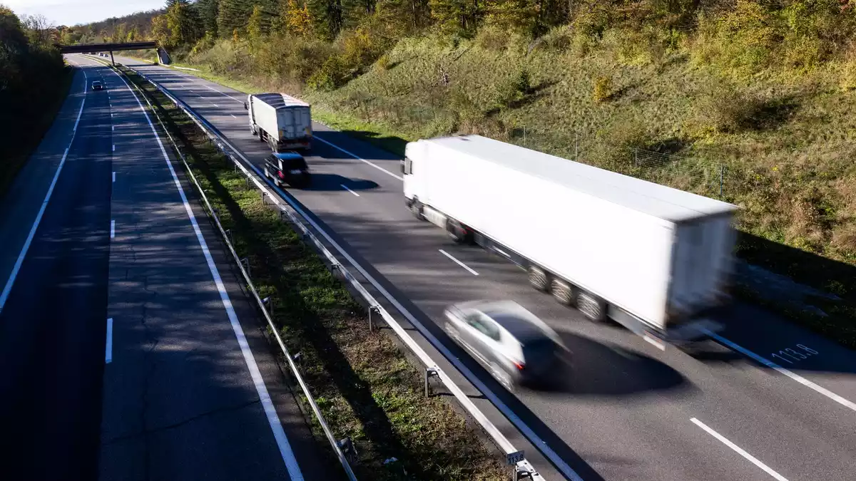 Um ihre Katze zu finden, hat eine Familie in Frankreich ihren Urlaub abgesagt und die Zeit an einer Autobahnraststätte verbracht. (Symbolbild) - Bild: Philipp von Ditfurth/dpa