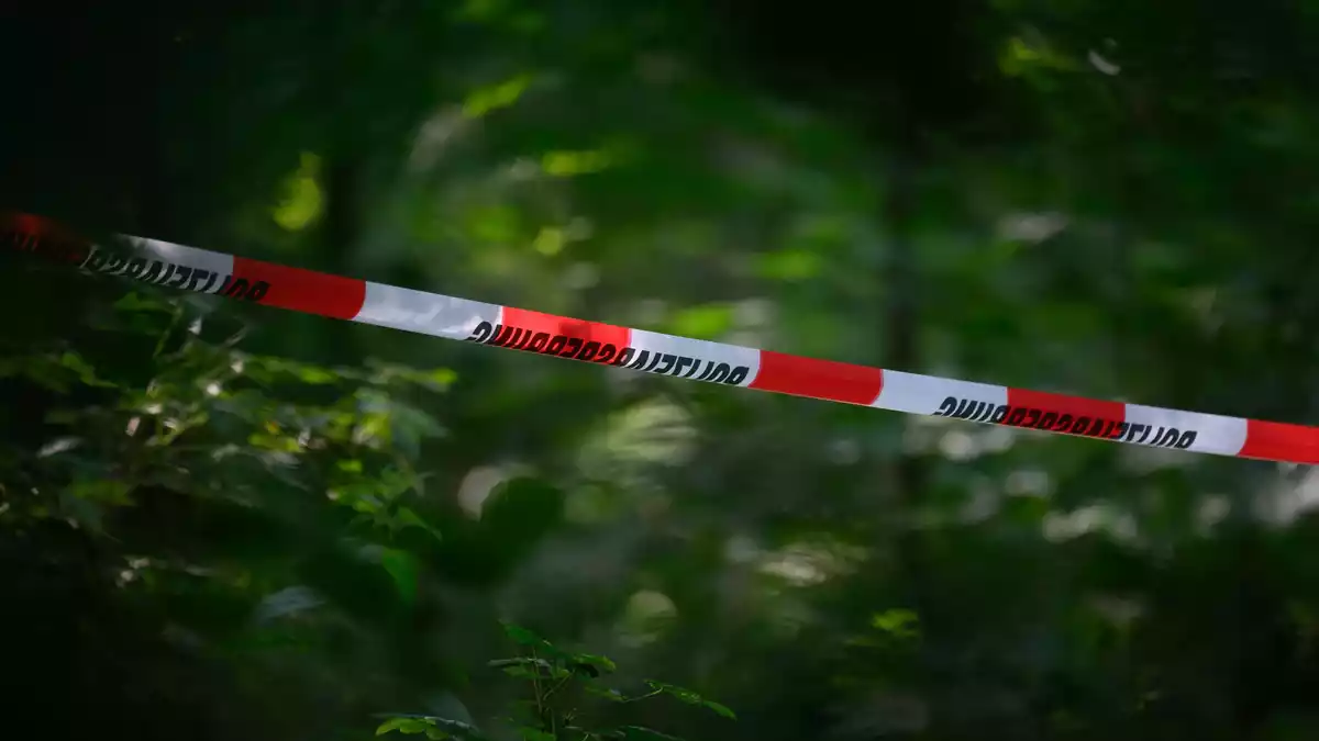 Die Waffen wurden in der Nähe von Berlin gefunden. (Archivbild) - Bild: Robert Michael/dpa