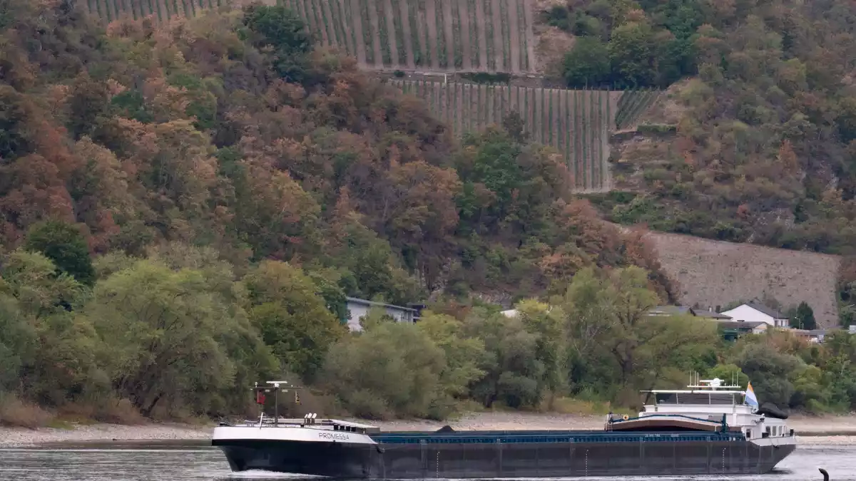 Dank Regens in Süddeutschland steigen die Rheinpegel wieder langsam, sind aber von Durchschnittswerten weit entfernt. - Bild: Lea Winkler/dpa