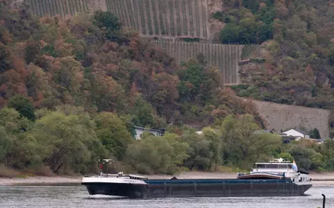 Dank Regens in Süddeutschland steigen die Rheinpegel wieder langsam, sind aber von Durchschnittswerten weit entfernt. - Foto: Lea Winkler/dpa
