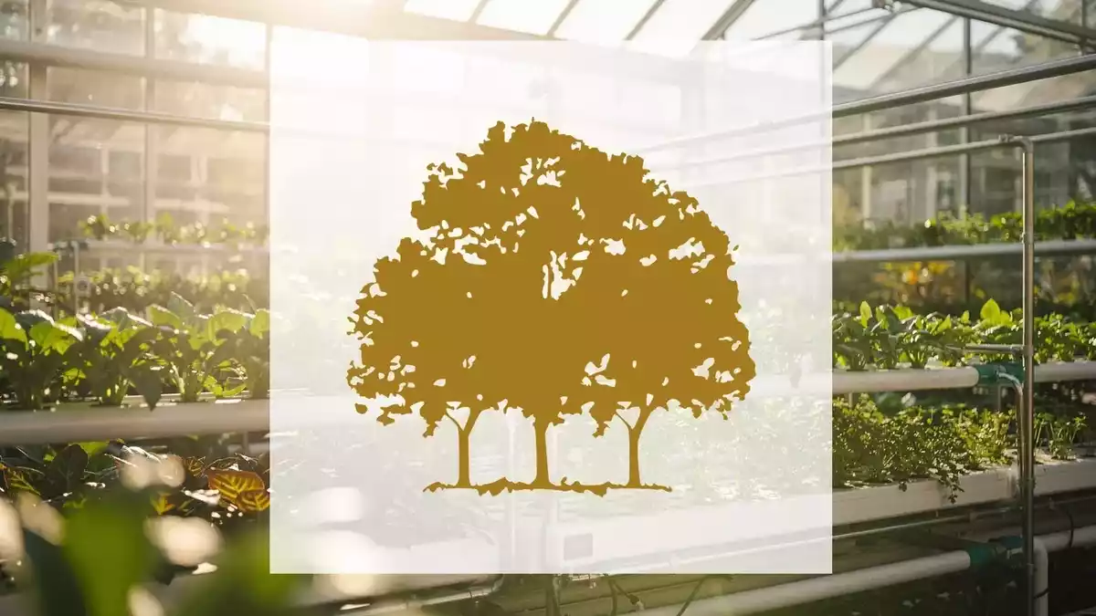Canopy Growth Beats Q1 Estimates, Pivots to Europe Amid Reverse Split Vote