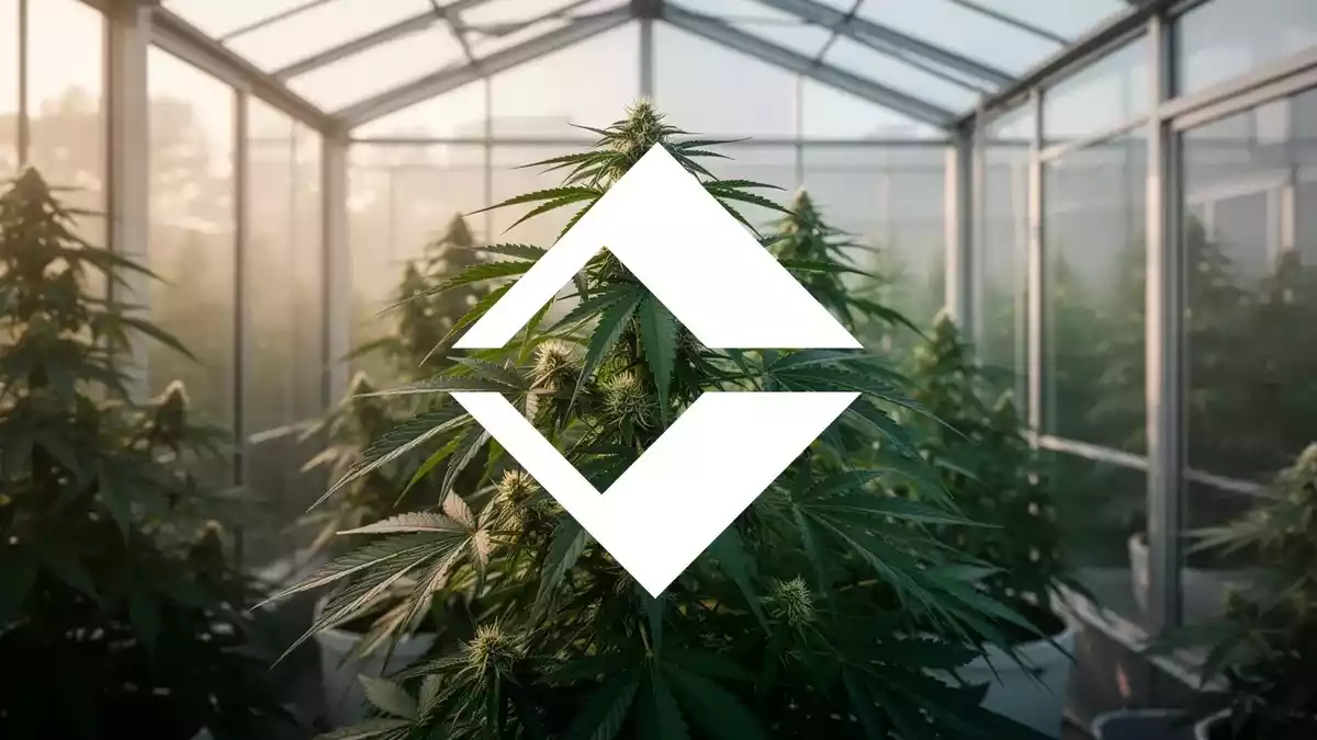 Trulieve Cannabis: NYSE Listing, Delaware Move, and Q2 Losses Explained