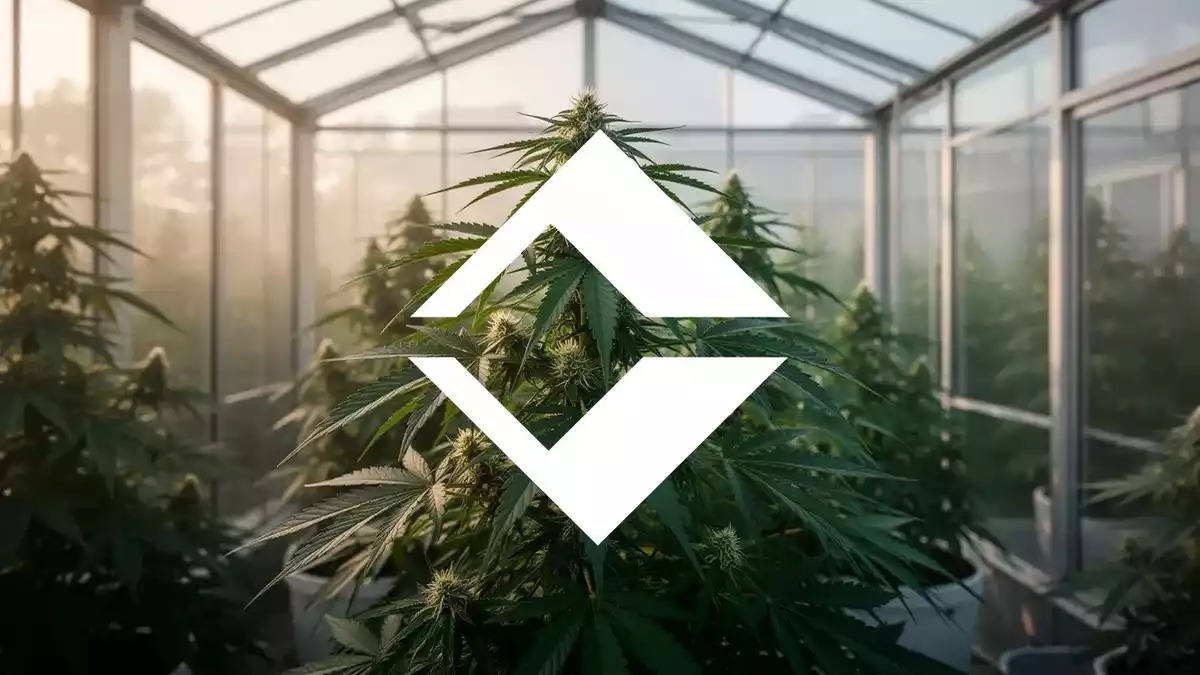 Trulieve Cannabis Completes Delaware Redomiciliation, Q2 Adjusted EPS Beats