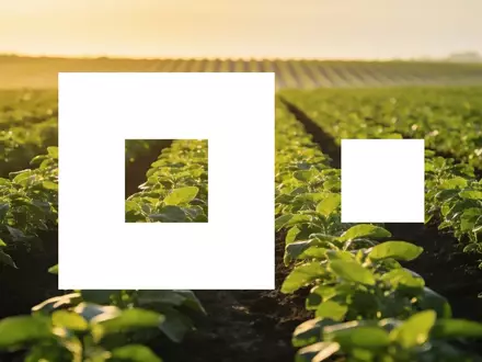 Modernes Agrarfeld bei Sonnenaufgang als Symbol für strategisches Wachstum und Innovation. - Foto: über boerse-global.de