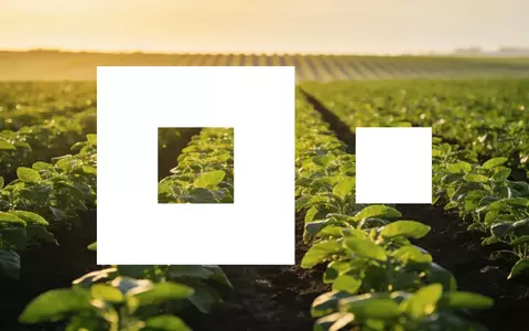 Modernes Agrarfeld bei Sonnenaufgang als Symbol für strategisches Wachstum und Innovation. - Foto: über boerse-global.de