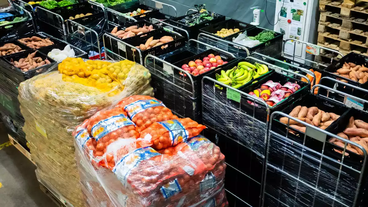 Keine Engpässe aber absehbar steigende Preise für Obst und Gemüse dürften laut Expertinnen die Folgen der diesjährigen heimischen Ernte sein. (Symbolbild) - Bild: Christoph Soeder/dpa