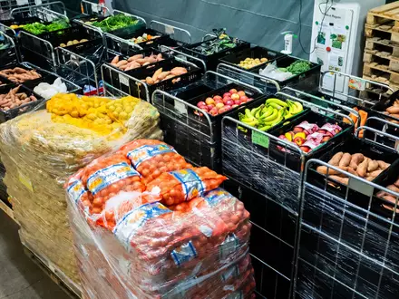 Keine Engpässe aber absehbar steigende Preise für Obst und Gemüse dürften laut Expertinnen die Folgen der diesjährigen heimischen Ernte sein. (Symbolbild) - Foto: Christoph Soeder/dpa