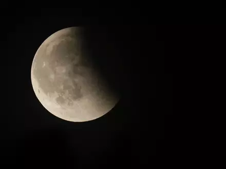 Der Mond wird sich verfinstern. (Archivbild) - Foto: Thomas Warnack/dpa