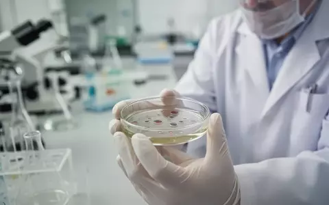 Ein Wissenschaftler untersucht eine Laborprobe in einem medizinischen Forschungsumfeld. - Foto: über boerse-global.de