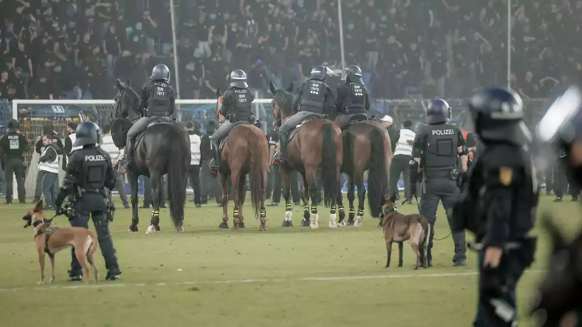 Beim DFB-Pokalspiel in Mannheim war auch berittene Polizei auf dem Spielfeld. - Bild: Foto Huebner/dpa