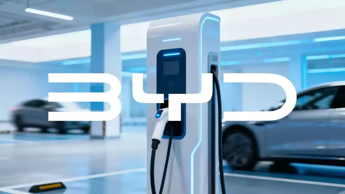 BYD Stock Rises on Premium EV Push, Japan Kei-Car Orders Beat Target