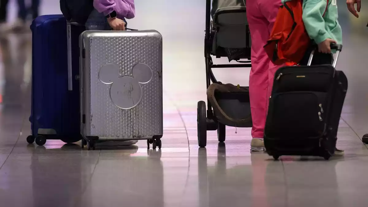 Als blinder Passagier hatte sich der Skorpion in der Jacke einer Reisenden versteckt. (Symbolbild)  - Bild: Christoph Reichwein/dpa