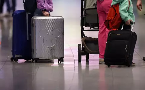 Als blinder Passagier hatte sich der Skorpion in der Jacke einer Reisenden versteckt. (Symbolbild)  - Foto: Christoph Reichwein/dpa
