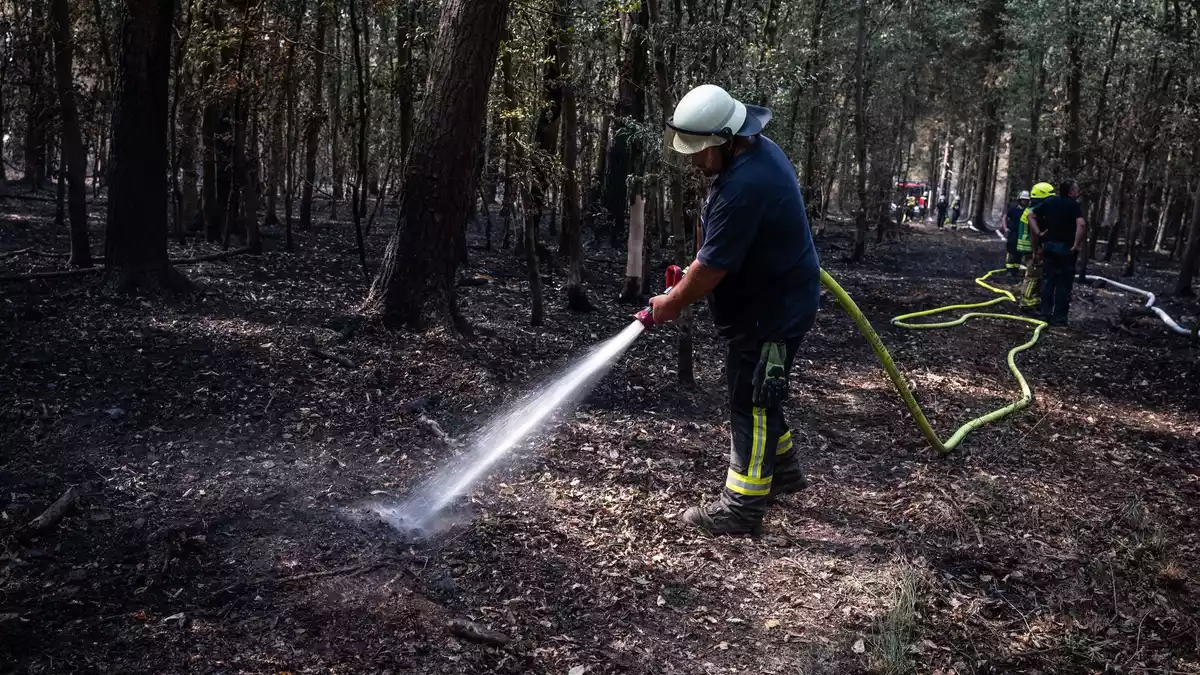 Zuletzt musste die Feuerwehr im Hürtgenwald nur noch Glutnester löschen. (Archivbild) - Bild: Christian Knieps/dpa