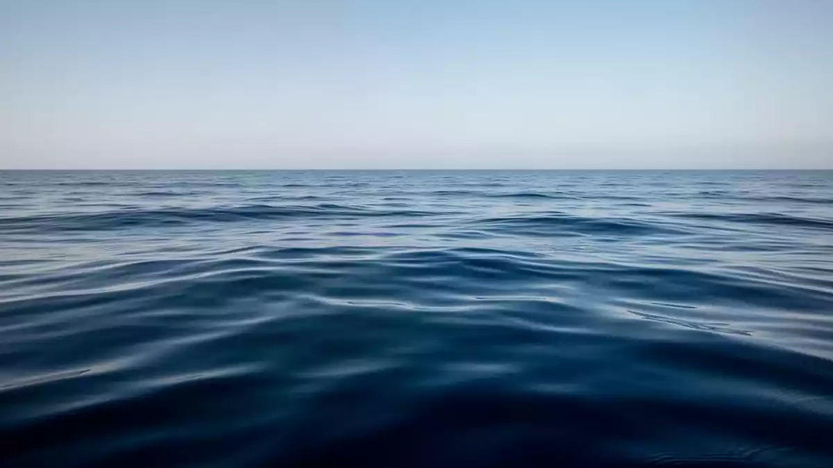 Blue Ocean Strategy: Wie Unternehmen neue Märkte erschließen und Wettbewerb umgehen