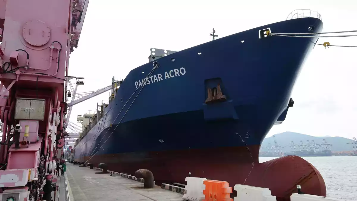 Das Containerschiff PanStar Acro befindet sich derzeit auf der Arktis-Route nach Europa. - Bild: -/YNA/dpa