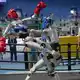 Kräftemessen unter Robotern beim „Free Combat“-Wettbewerb der World Humanoid Robot Games in Peking - Bild: Achmad Ibrahim/AP/dpa