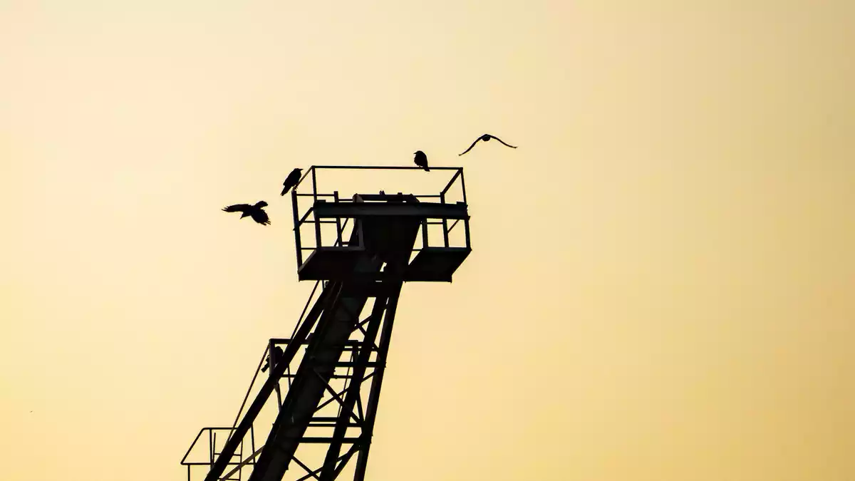 Nach turbulenten Tagen beim Wetter hat sich die Situation beruhigt. - Bild: Andreas Arnold/dpa