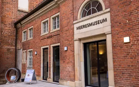 Rund vier Monate nach der Bergung des vor der Ostseeküste geborgenen Buckelwals «Timmy» sieht sich das Deutsche Meeresmuseum in Stralsund immer noch Anfeindungen ausgesetzt. (Archivbild) - Foto: Jens Büttner/dpa