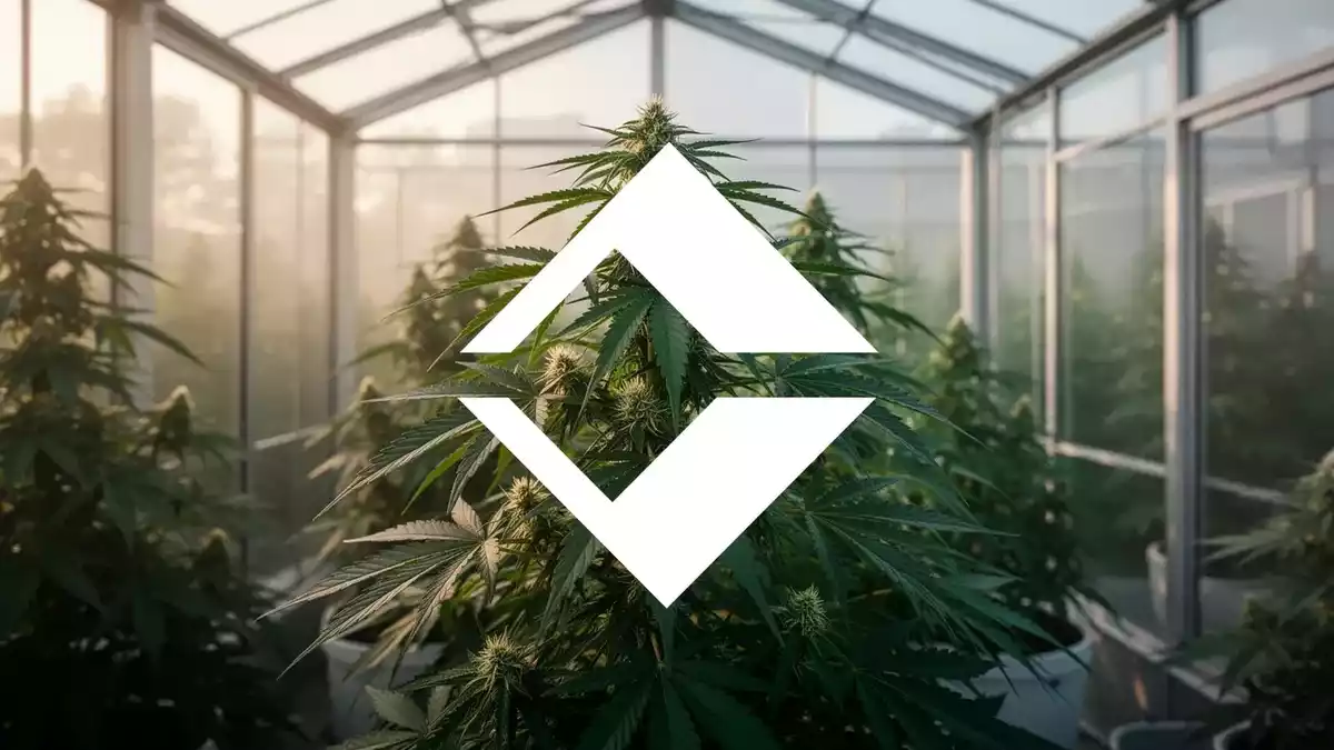 Trulieve Redomiciles to Delaware, Lists on NYSE as TRLV: Q2 Revenue Hits $271M
