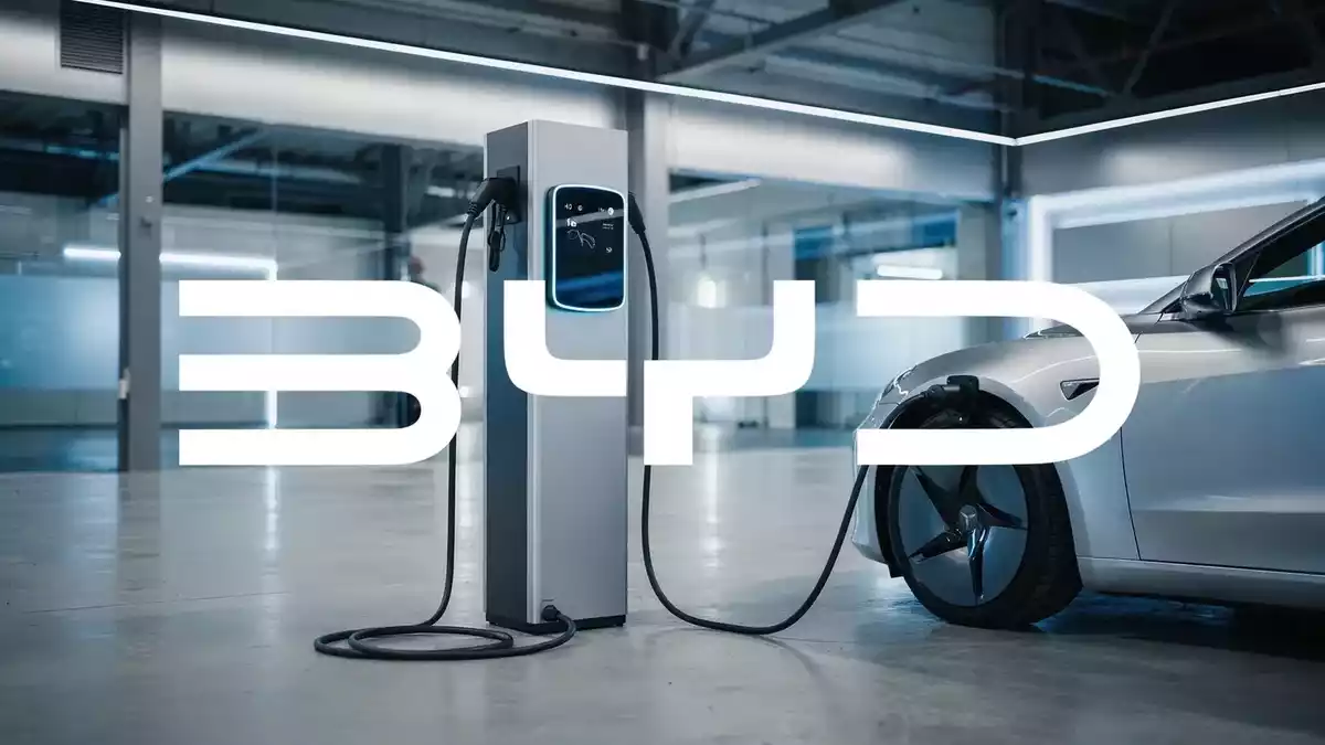 BYD Half-Year Earnings Preview: Export Surge vs. Domestic Slump