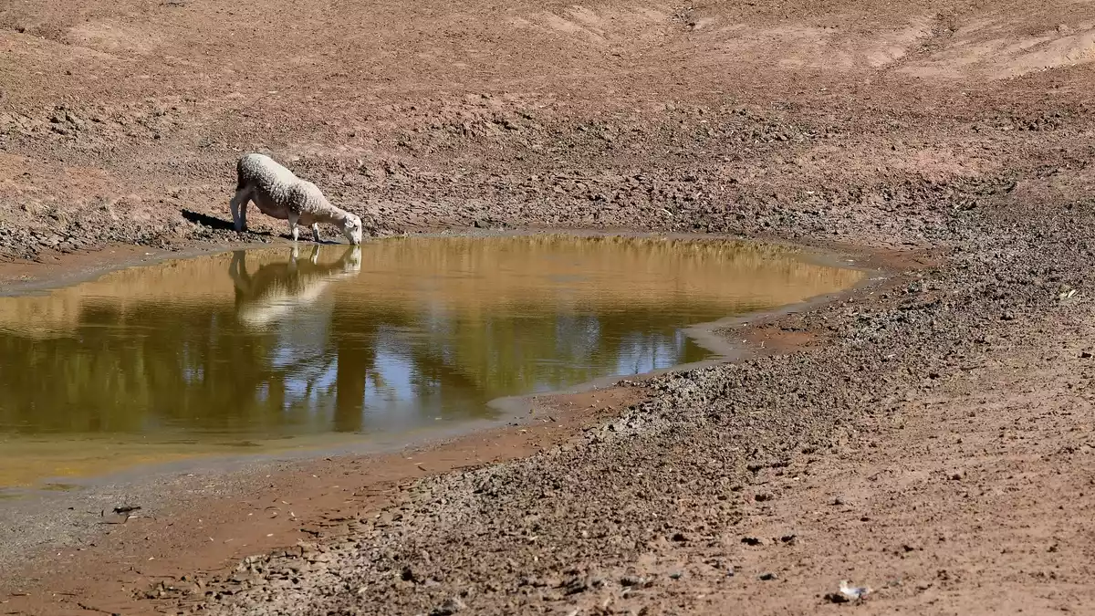  Zusätzlich zum Klimawandel durch menschengemachte Treibhausgase kommt nun das Wetterphänomen El Niño auf die Welt zu. (Symbolbild) - Bild: Dean Lewins/AAP/dpa